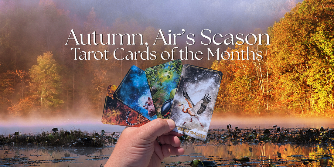 Tarot of the Months: Autumn 2026