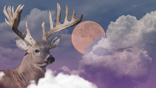 The Full Buck Moon - What Does it Mean?