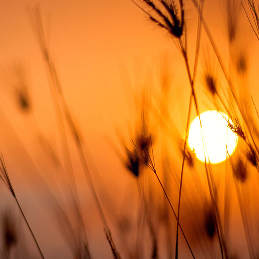 Summer and Fire, the Element of Soul